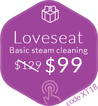 Loveseat Sofa - Basic Steam Cleaning, Only $99 [XT18]